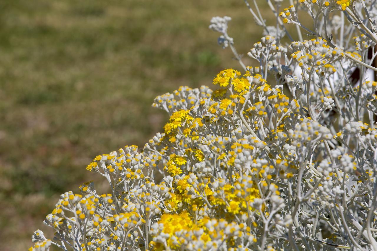 אוטרנטו Agriturismo La Palascia Masseria Agreste מראה חיצוני תמונה