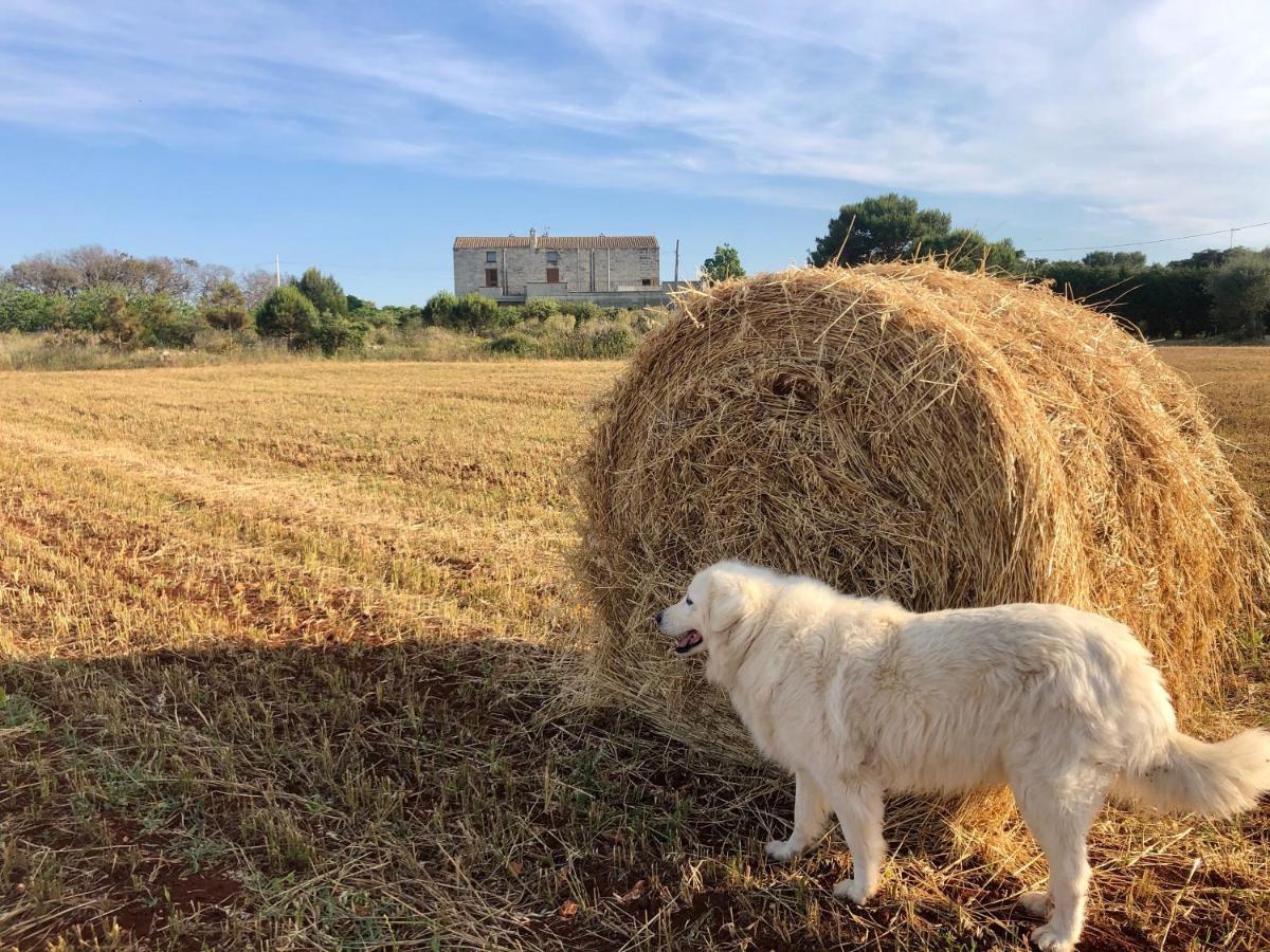 אוטרנטו Agriturismo La Palascia Masseria Agreste מראה חיצוני תמונה